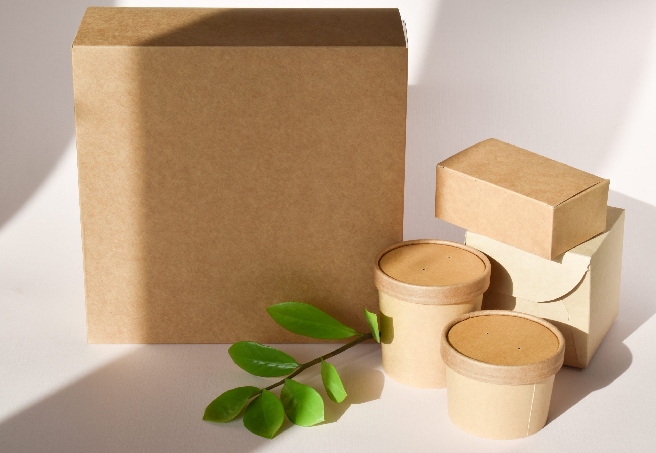 A cardboard box with space for text. Zero waste. Paper packaging for food products. Recyclable paper.